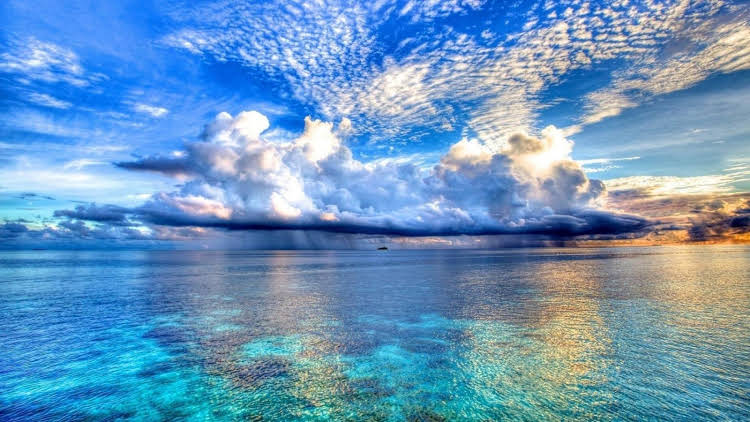 Paradise Cove - carbon neutral hotel in Bahamas