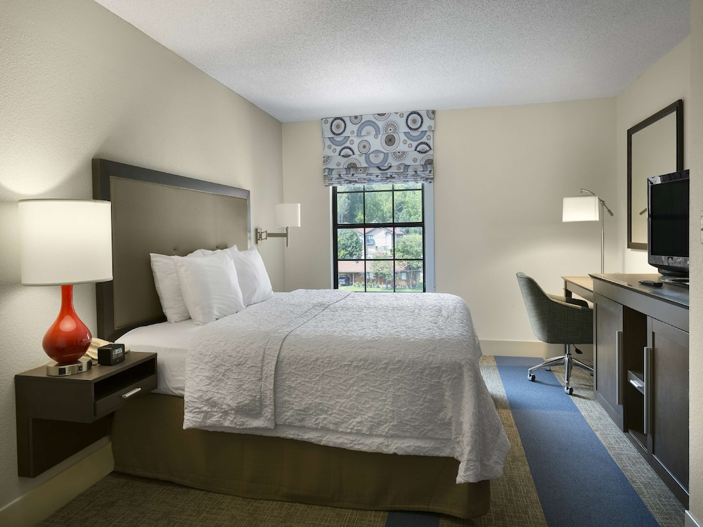 Hampton Inn Helen - photo 15