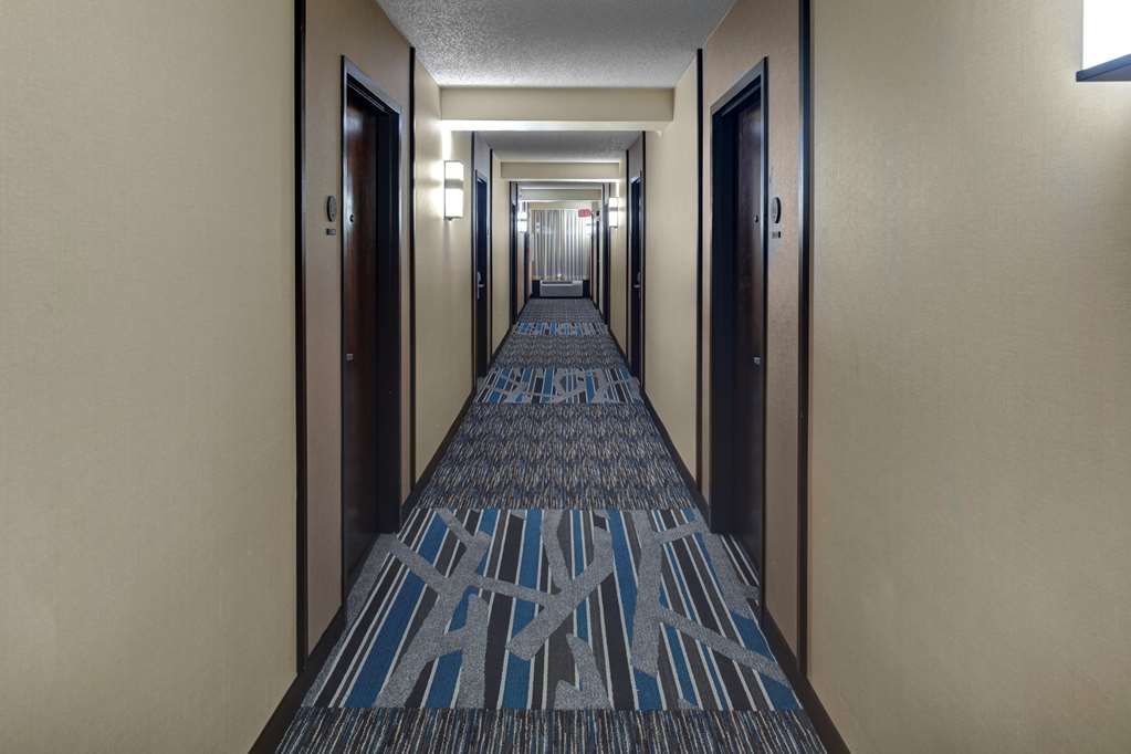 Hyatt Place Itasca - photo 36