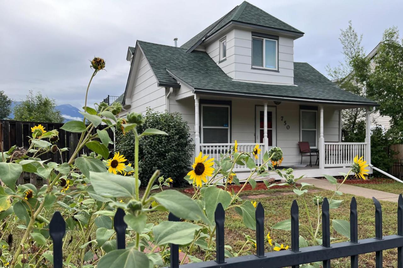 Sunflower Way in Colorado Springs, United States