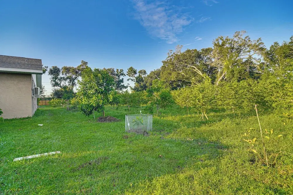 Tampa Vacation Rental Home Near Attractions - photo 26