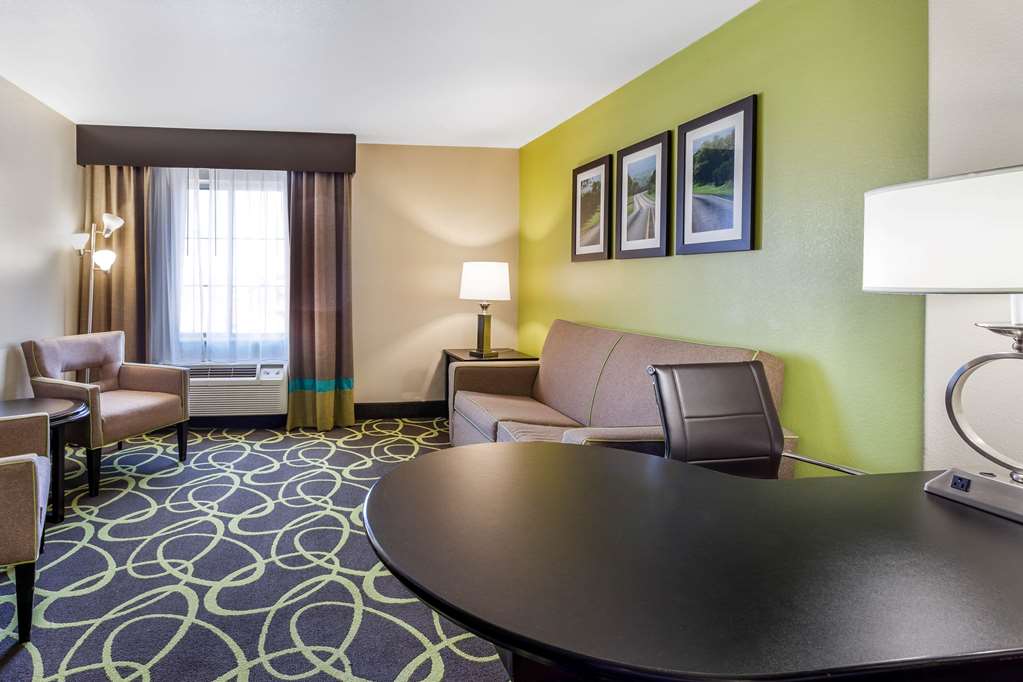 La Quinta Inn & Suites by Wyndham New Braunfels - photo 37