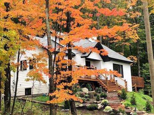 Rooms in peaceful nature settings — hotel in Sutton