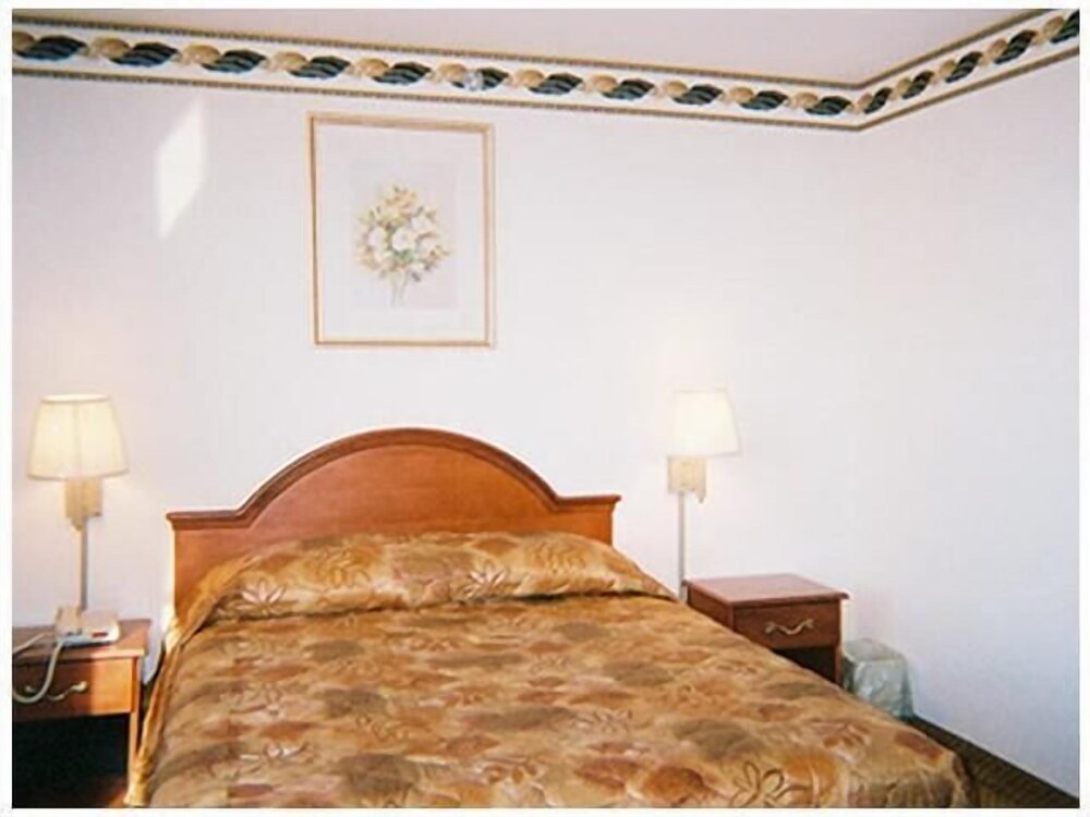 Red Carpet Inn Brooklyn - photo 10