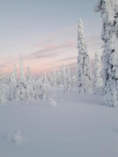 Levi Holiday home Poroileville — 4-Star Luxury Hotel in Kittilae, Finland
