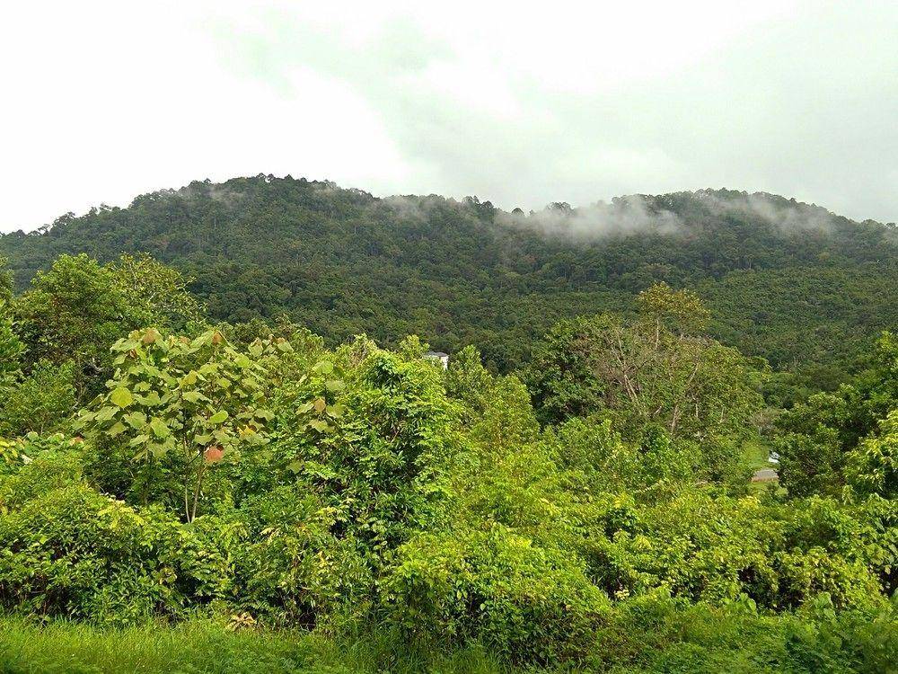 Ananda Place Phuket — Phuket — photo 2