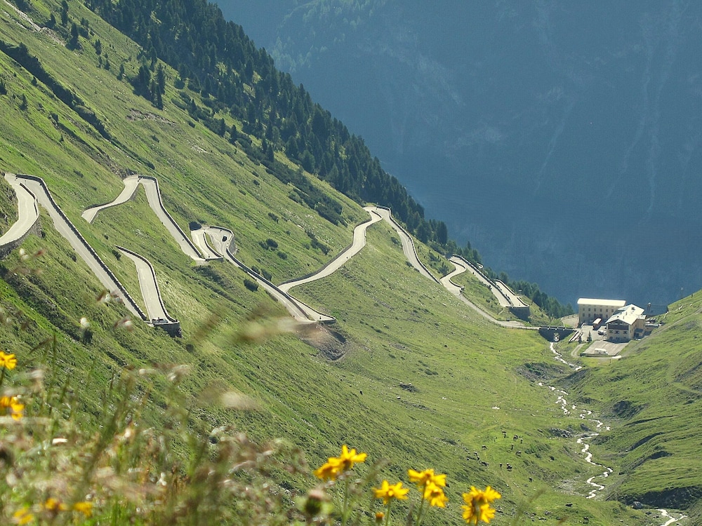 Berghotel Franzenshöhe — hotel in Stelvio