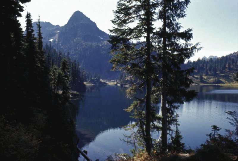 Sol Duc Hot Springs Resort - photo 2