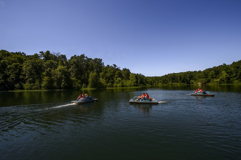 Pennyrile Forest State Resort Park - photo 29
