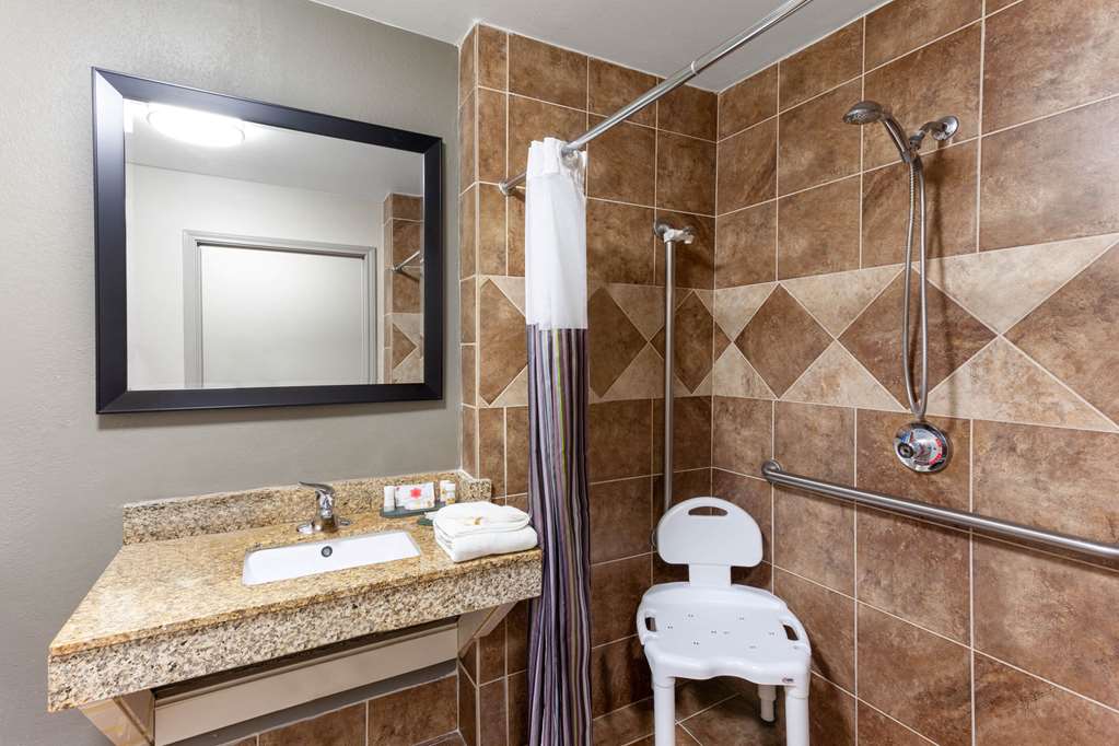 La Quinta Inn & Suites by Wyndham Seguin - photo 15