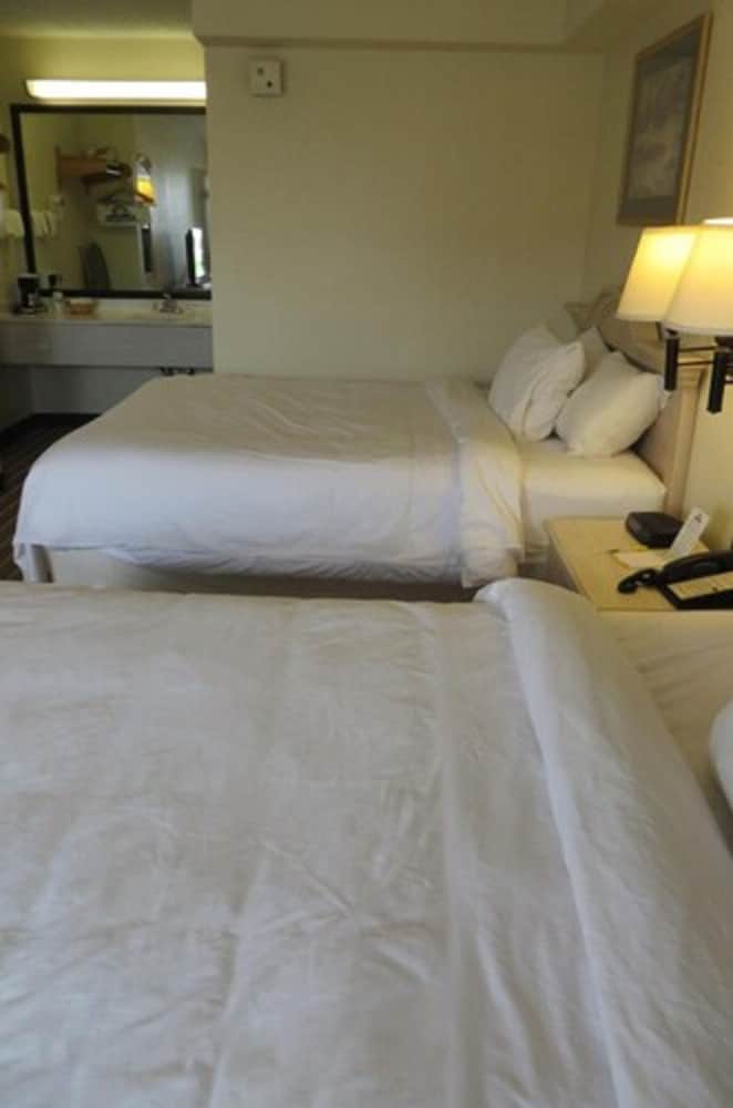 Days Inn by Wyndham Plainfield - photo 14