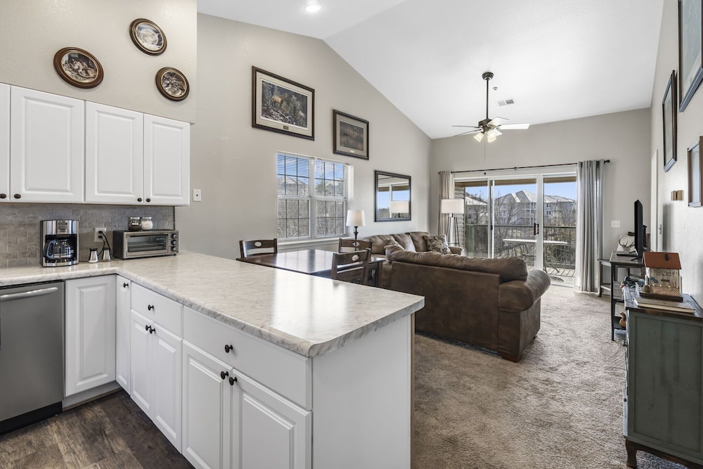 Suite Outlook Resort Amenities Penthouse Close to Downtown Updated - photo 9