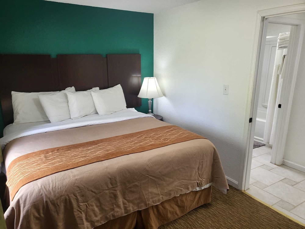 Pine Tree Inn - photo 22
