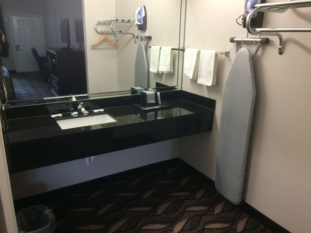 Palace Inn Sam Houston - photo 16