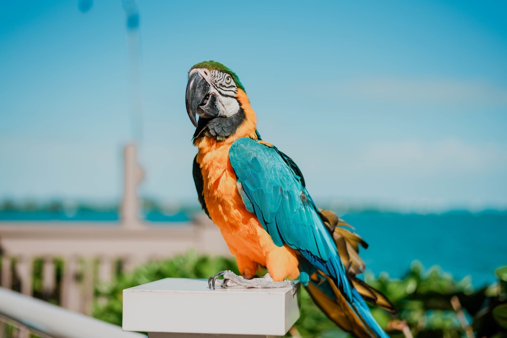Hyatt Centric Key West Resort and Spa - photo 39