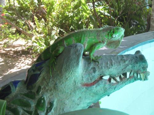 Pousada Estrela De Mundaú in Trairi, Brasil