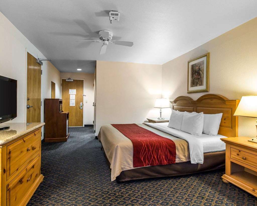 Comfort Inn & Suites Sequoia Kings Canyon - photo 8