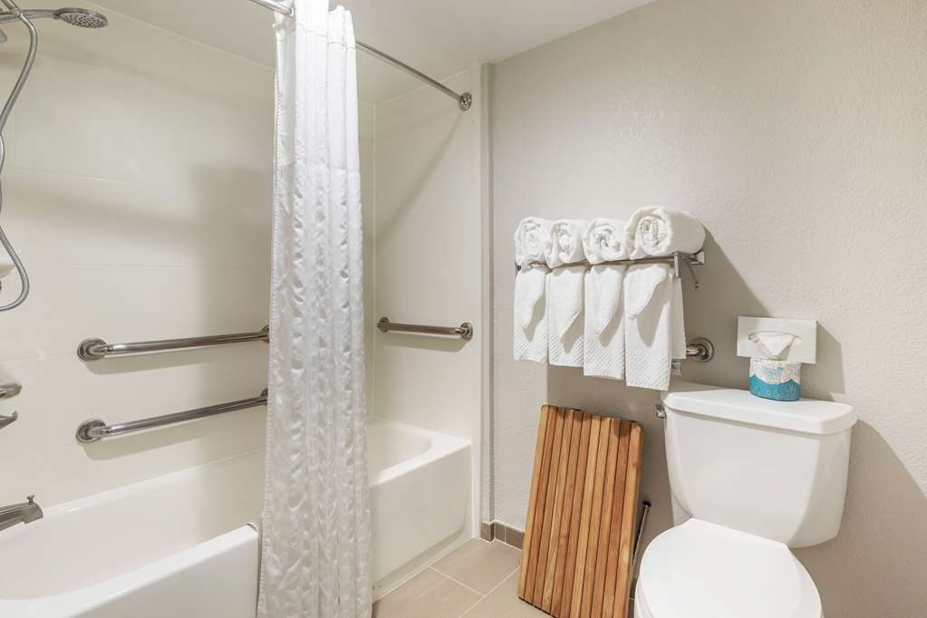 Comfort Inn Conference Center - photo 6