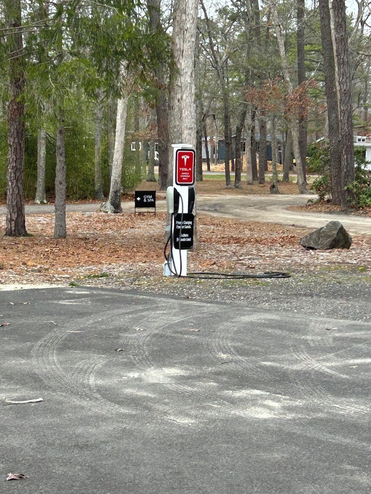 Swan Lake Resort Rentals - photo 210