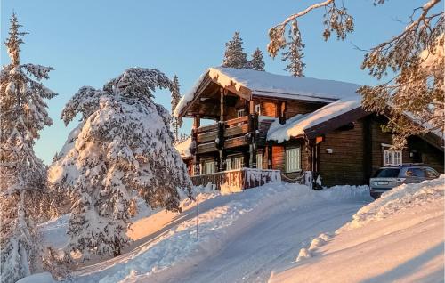 Pet Friendly Home In Nissedal With Wifi — 4-Star Luxury Hotel in Fyresdal, Norway