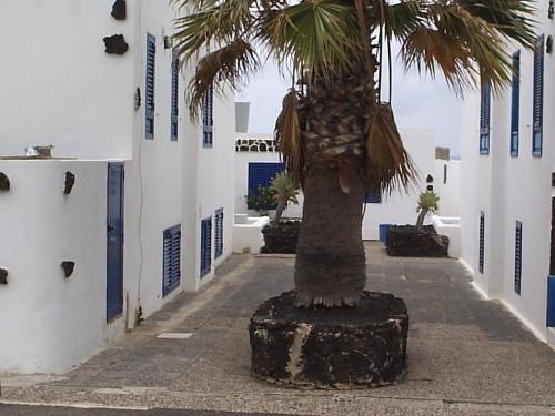 Casita al Mar — hotel in Punta De Mujeres