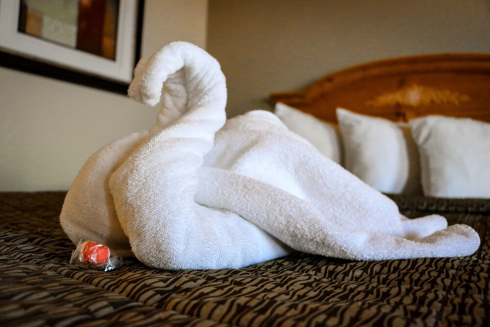 Suite Dreams Hotel - photo 19