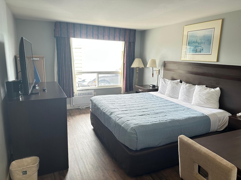 Ocean Paradise Hotel & Resort - photo 8