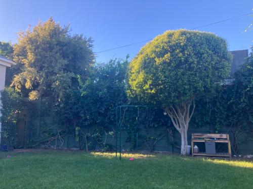 Cozy garden Guest Suite in charming Claremont