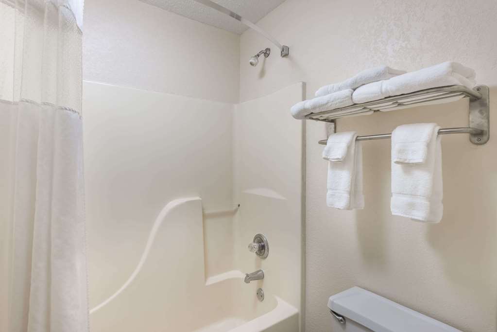 Baymont by Wyndham Metropolis - photo 14