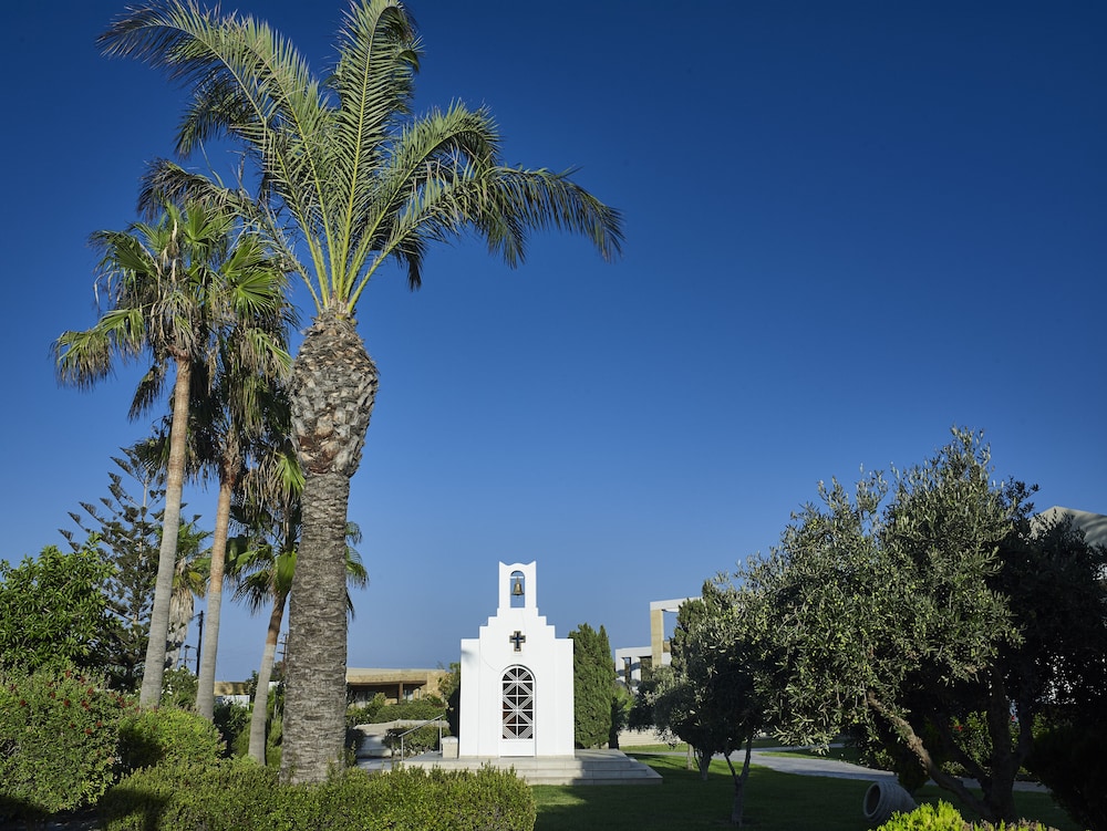 שטחי חוץ / גן