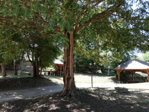 Manoir De La Touche — Cheille — photo 5
