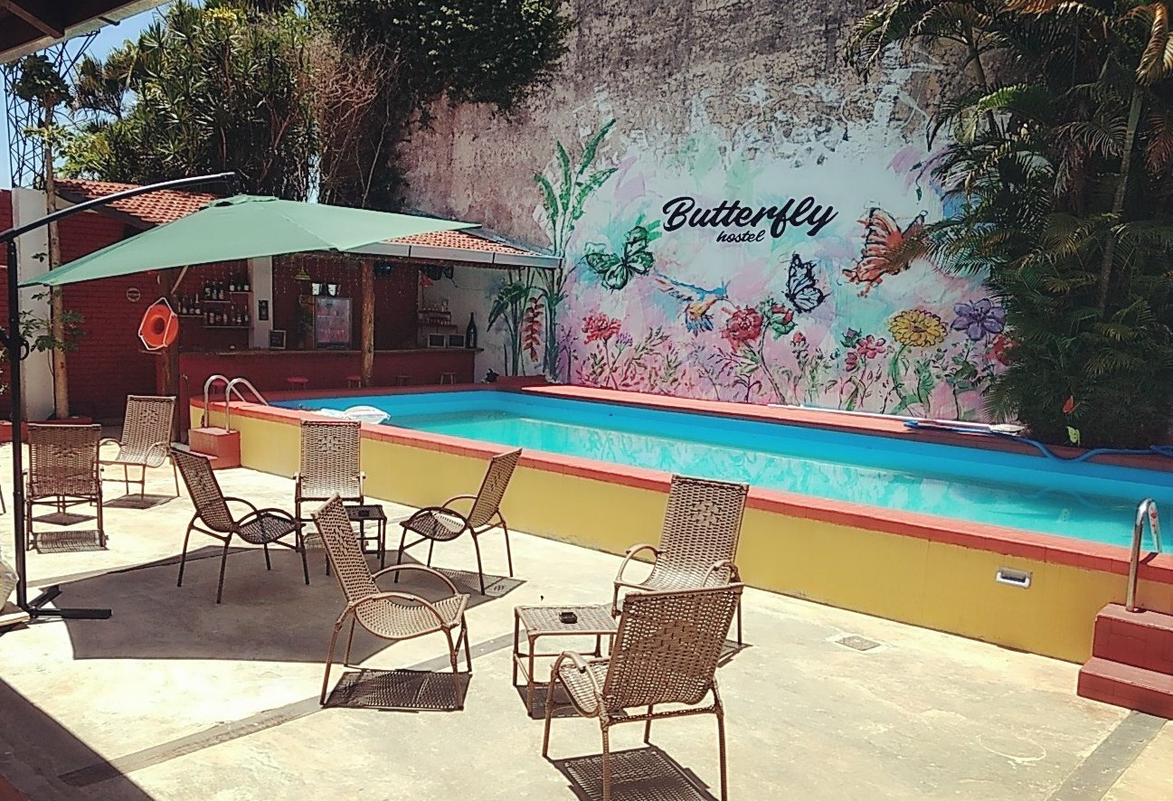 Butterfly - last minute hotel in Puerto Iguazu