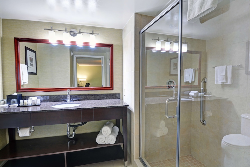 Embassy Suites by Hilton Valencia - photo 15