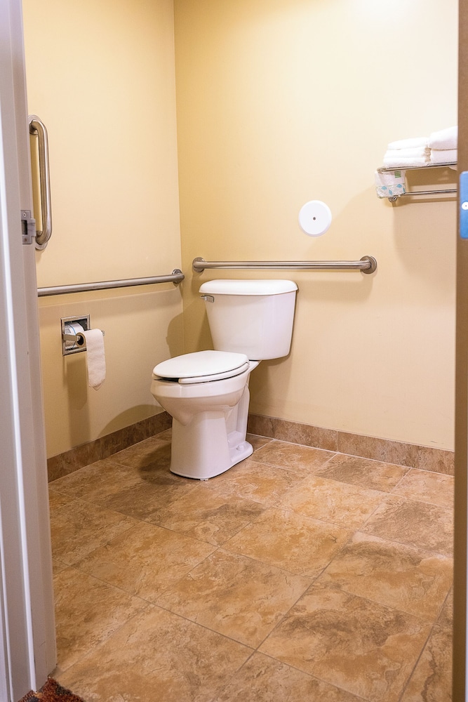 Savanna Inn & Suites - photo 22