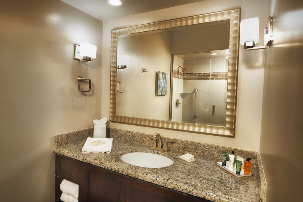DoubleTree by Hilton Phoenix Mesa - photo 60