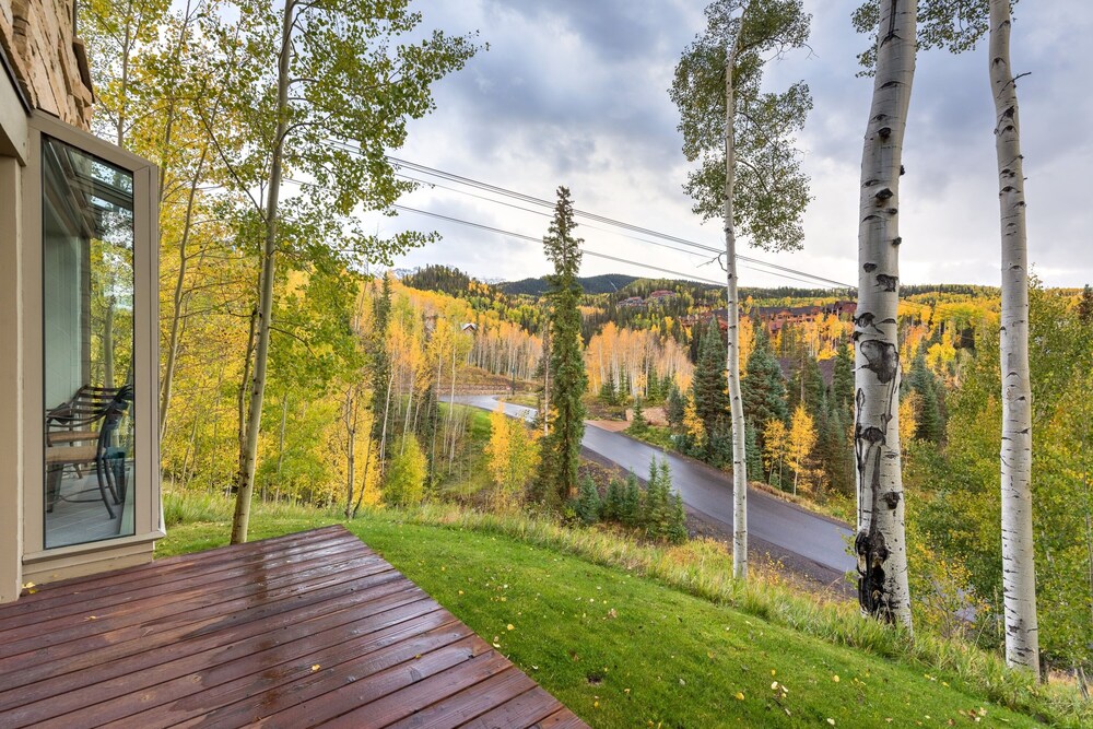 Aspen Ridge 3 In Mountain Village - photo 29
