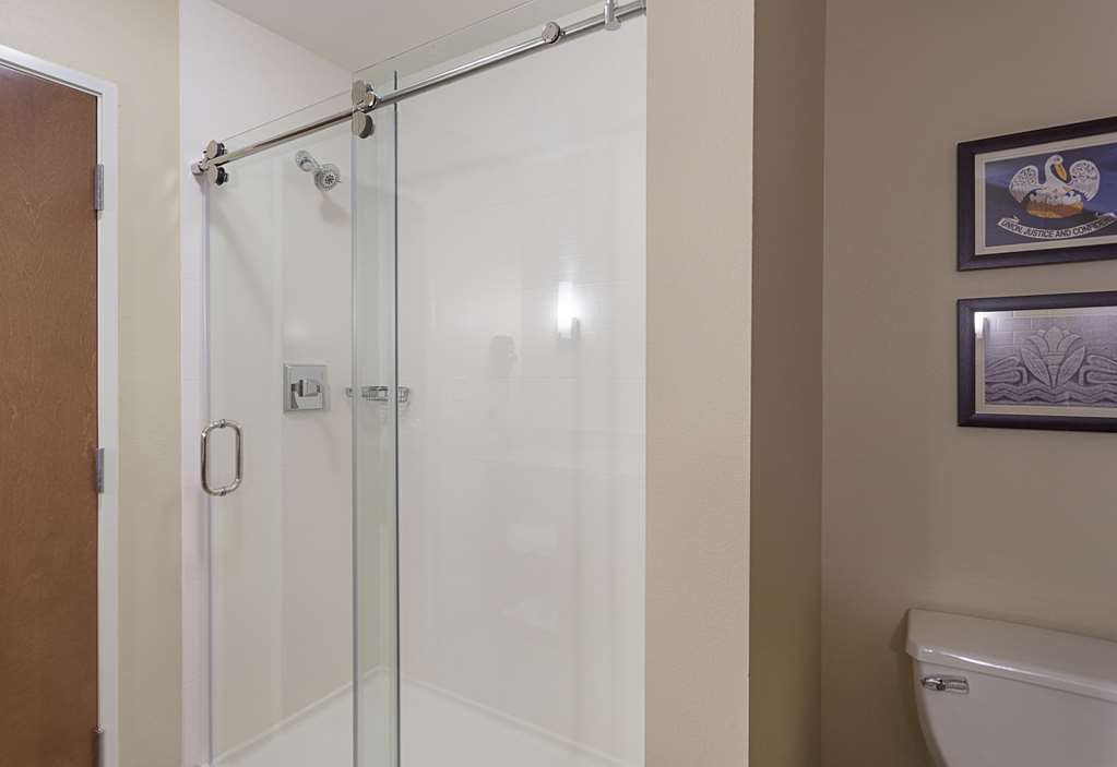 Comfort Inn & Suites Zachary - photo 28