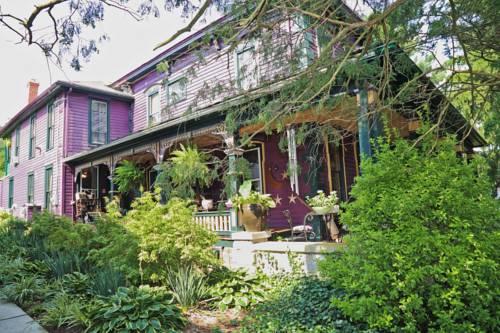 Amethyst Inn - photo 5