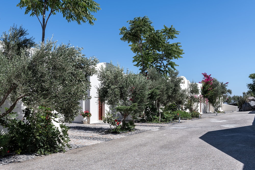 מראה חיצוני