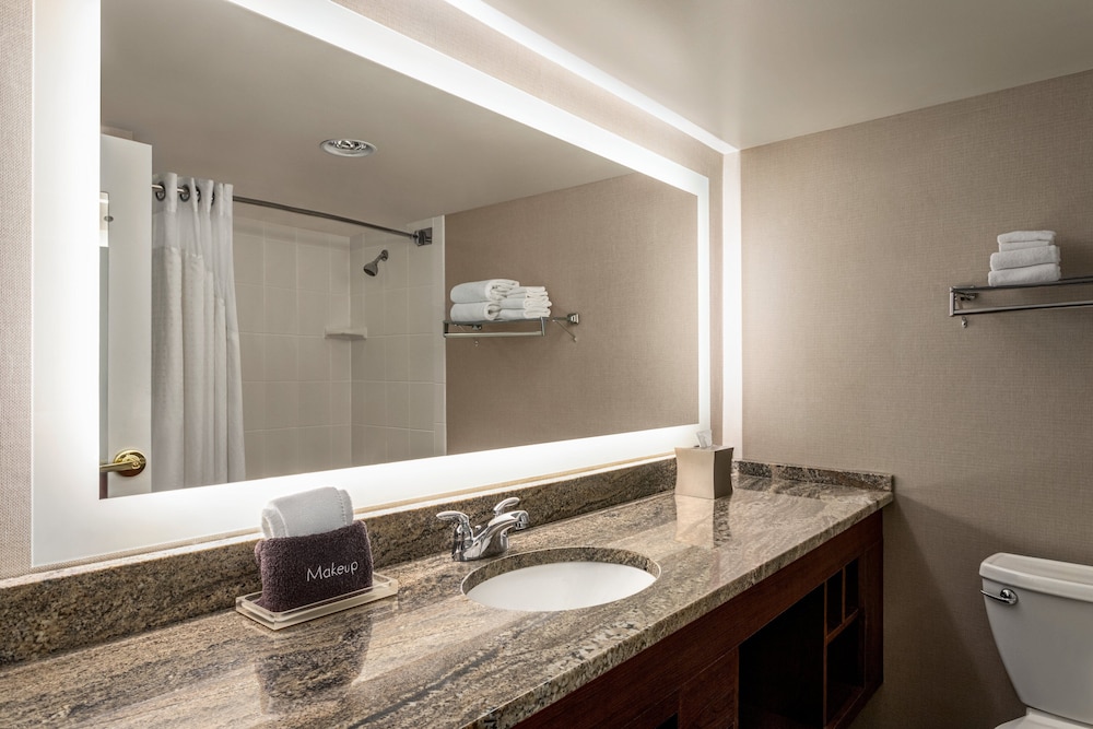 Holiday Inn Saratoga Springs by IHG - photo 21
