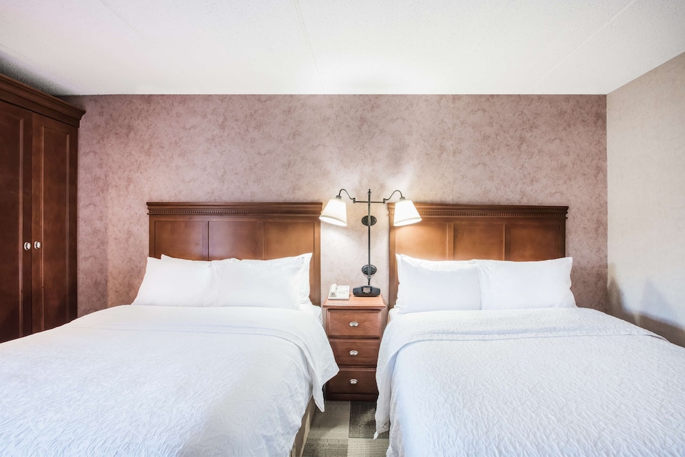 Hampton Inn West Springfield - photo 19