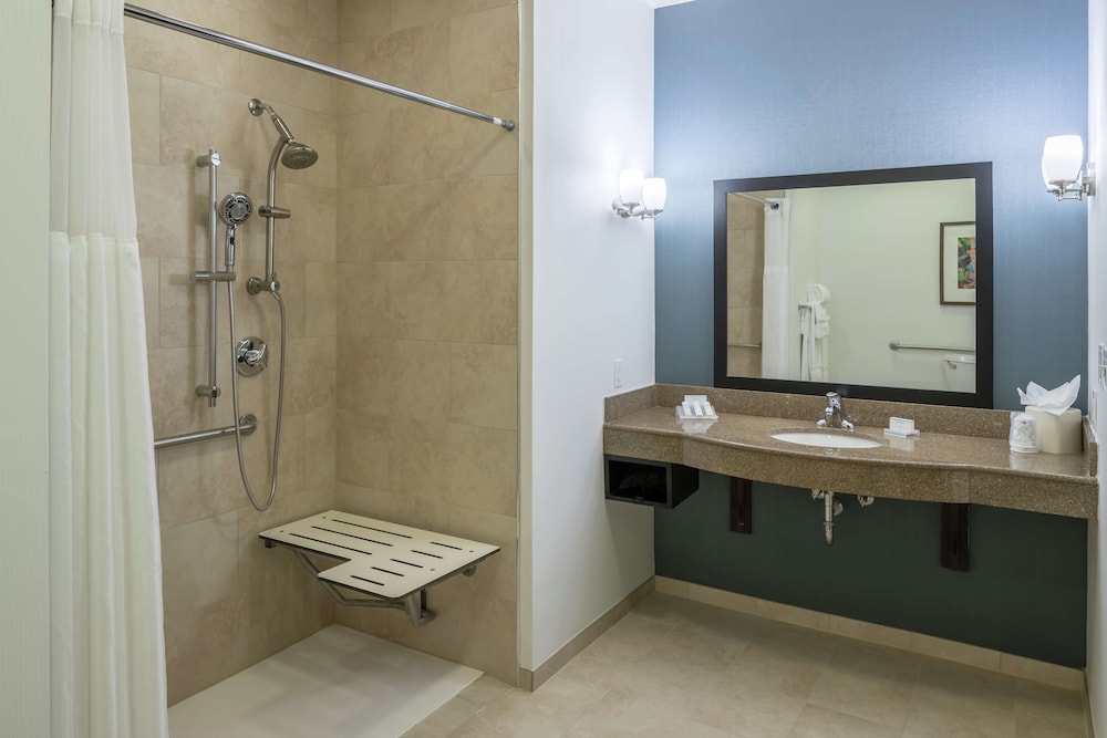 Hilton Garden Inn DFW North Grapevine - photo 28