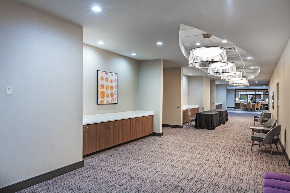 Holiday Inn Lubbock South by IHG - photo 25