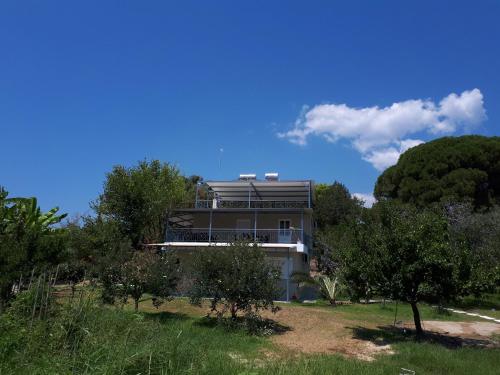 Ktima Bilionis — Zacharo — photo 3