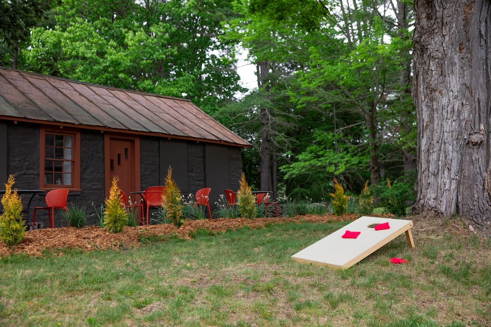The Darby - photo 37