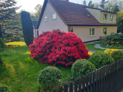 Ferienhaus Pali idyllische Atmosphäre — hotel in Limbach-Oberfrohna
