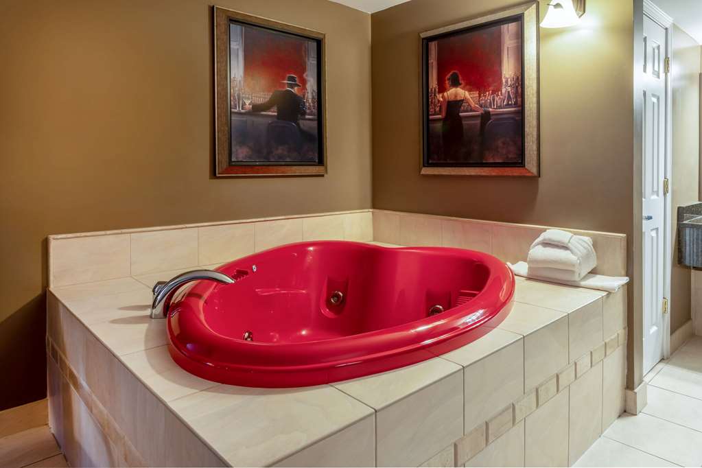 Days Inn Birch Run - photo 13