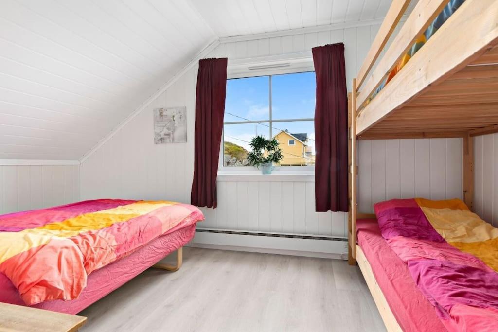 Petrahuset — Alesund — photo 4