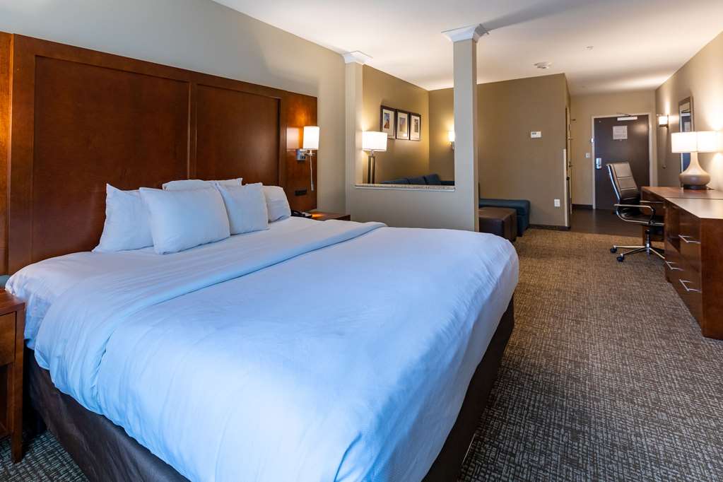 Comfort Suites Denver near Anschutz Medical Campus - photo 12