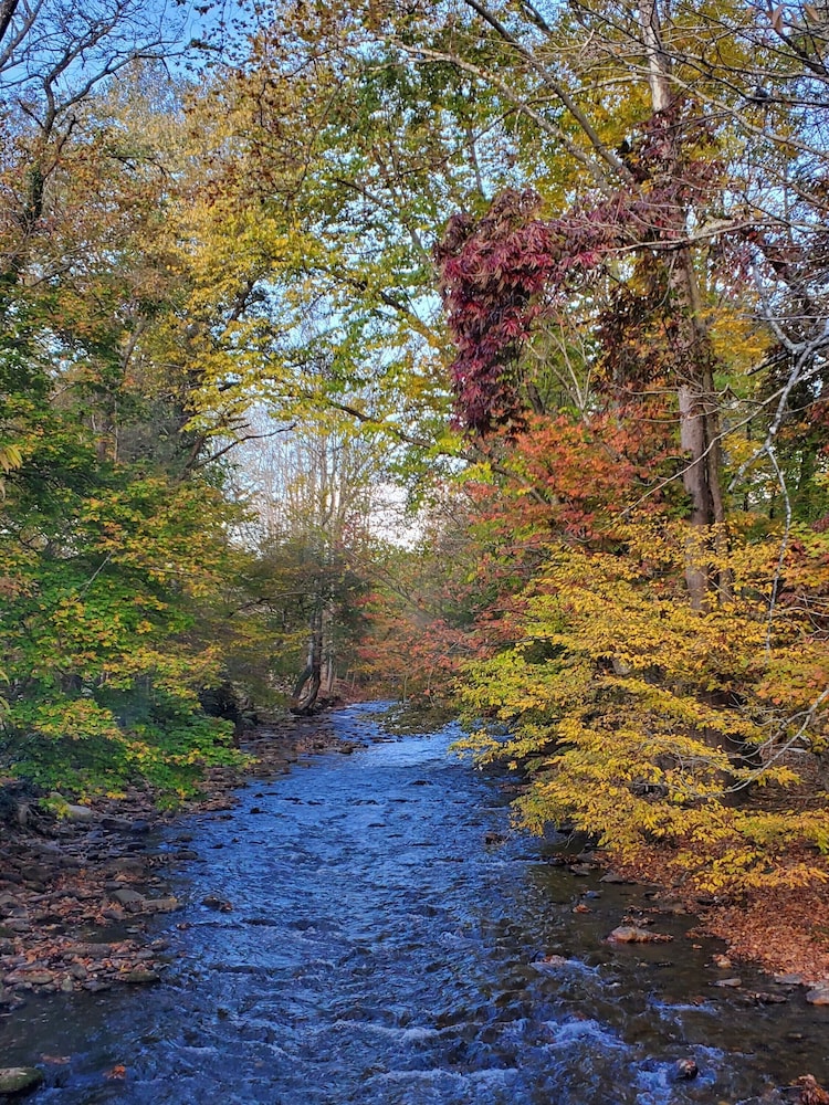 Cozy Creek Cottages - photo 18